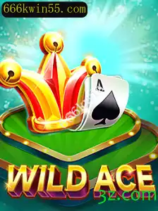 Explorando WildAce: Uma Nova Experiência de Jogo com 666kwin